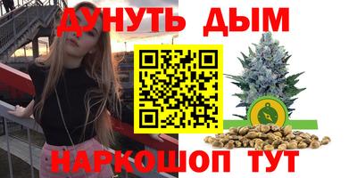 сатива Заводоуковск