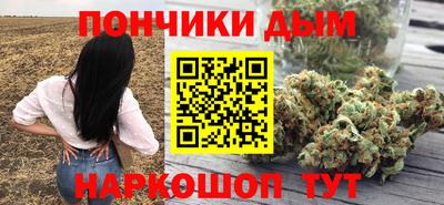 сатива Заводоуковск