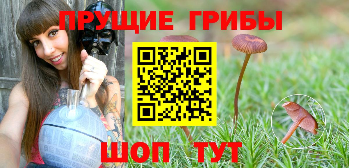 Тайшет  Галлюциногенные грибы мицелий  Вход с VPN 