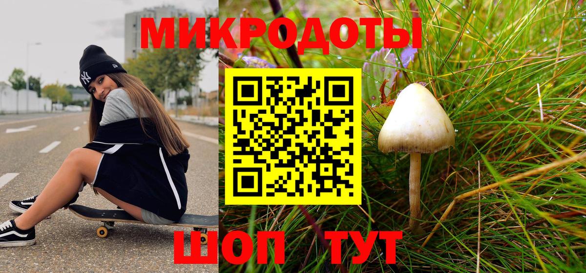 Псилоцибиновые грибы MAGIC MUSHROOMS Тайшет